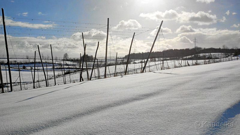 Oberlauterbacher Flur im Schnee 08.02.2015 07.jpg - Oberlauterbacher Flur im Schnee